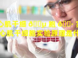 心肌干细 🌵 胞 🌷 实验原理（心肌干细胞实验原理是什么）